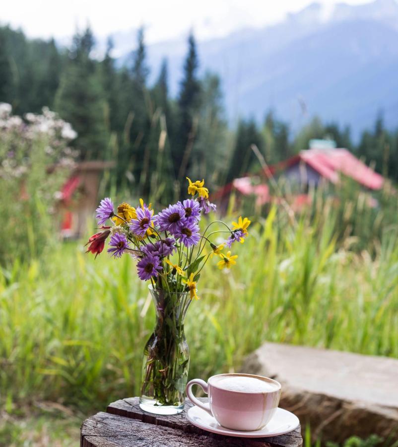 Heather Mountain Lodge Golden Bagian luar foto